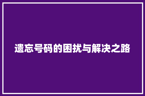 遗忘号码的困扰与解决之路