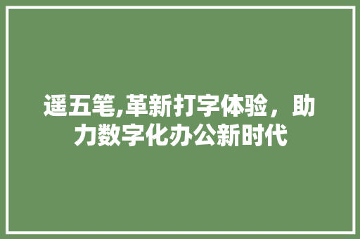 遥五笔,革新打字体验，助力数字化办公新时代