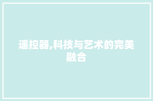 遥控器,科技与艺术的完美融合