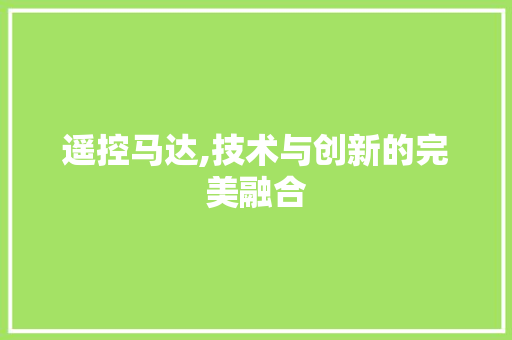 遥控马达,技术与创新的完美融合