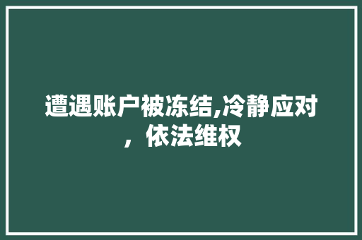 遭遇账户被冻结,冷静应对，依法维权