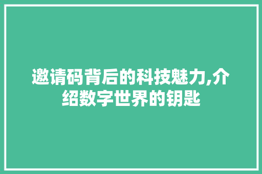 邀请码背后的科技魅力,介绍数字世界的钥匙 服务器/数据库