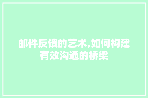 邮件反馈的艺术,如何构建有效沟通的桥梁