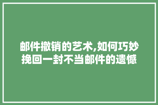 邮件撤销的艺术,如何巧妙挽回一封不当邮件的遗憾