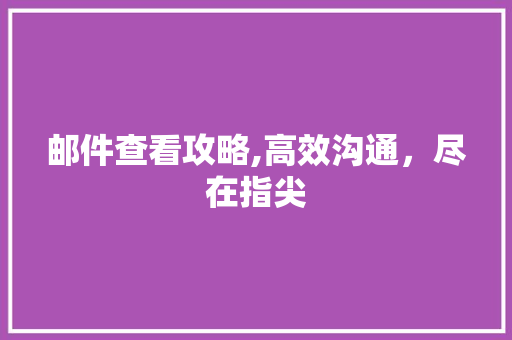 邮件查看攻略,高效沟通，尽在指尖