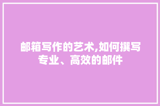 邮箱写作的艺术,如何撰写专业、高效的邮件