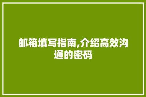 邮箱填写指南,介绍高效沟通的密码