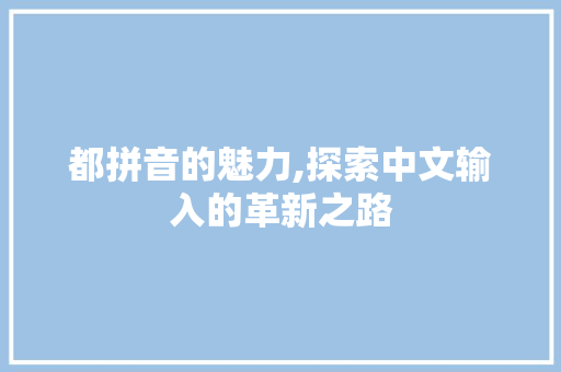 都拼音的魅力,探索中文输入的革新之路