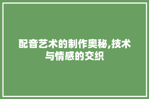 配音艺术的制作奥秘,技术与情感的交织 Web前端