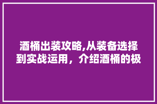 酒桶出装攻略,从装备选择到实战运用，介绍酒桶的极致发挥