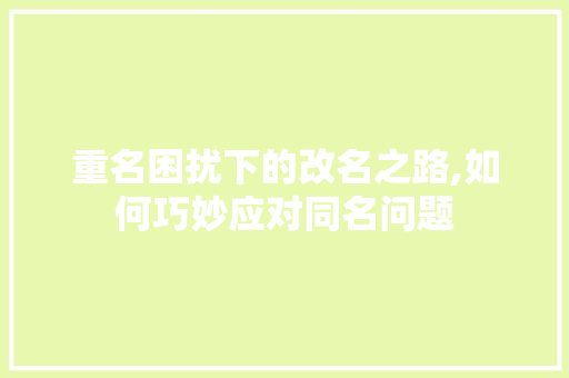 重名困扰下的改名之路,如何巧妙应对同名问题
