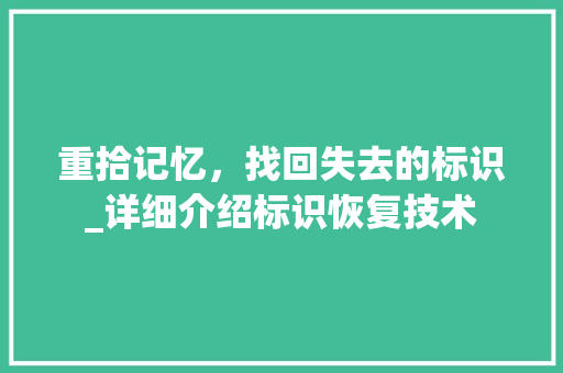重拾记忆，找回失去的标识_详细介绍标识恢复技术