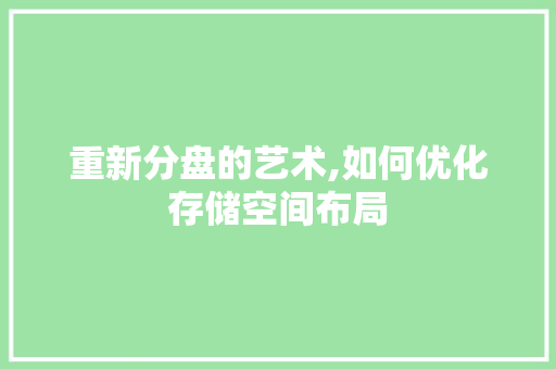 重新分盘的艺术,如何优化存储空间布局