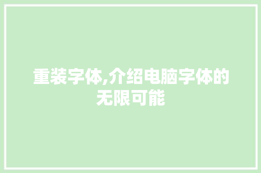 重装字体,介绍电脑字体的无限可能