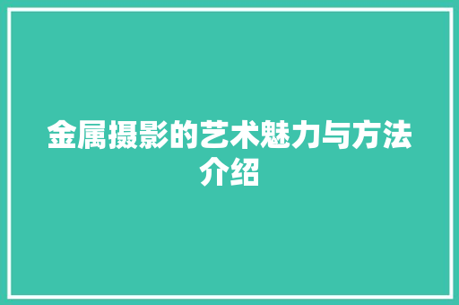 金属摄影的艺术魅力与方法介绍