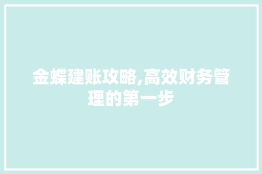 金蝶建账攻略,高效财务管理的第一步