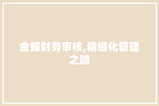 金蝶财务审核,精细化管理之路