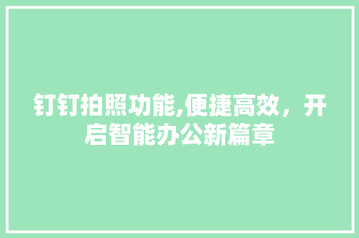 钉钉拍照功能,便捷高效，开启智能办公新篇章