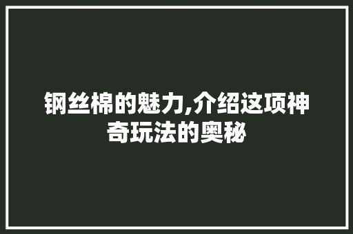 钢丝棉的魅力,介绍这项神奇玩法的奥秘