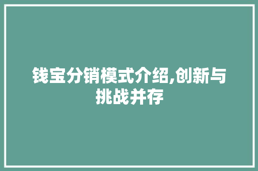 钱宝分销模式介绍,创新与挑战并存 建站教程