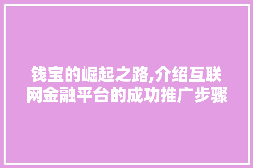 钱宝的崛起之路,介绍互联网金融平台的成功推广步骤