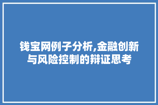 钱宝网例子分析,金融创新与风险控制的辩证思考