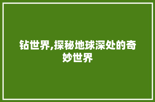 钻世界,探秘地球深处的奇妙世界