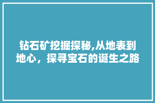 钻石矿挖掘探秘,从地表到地心，探寻宝石的诞生之路