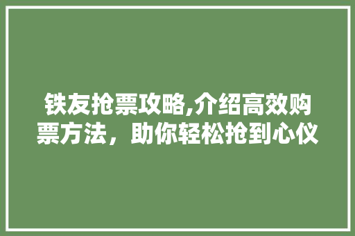 铁友抢票攻略,介绍高效购票方法，助你轻松抢到心仪车票