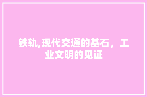 铁轨,现代交通的基石，工业文明的见证