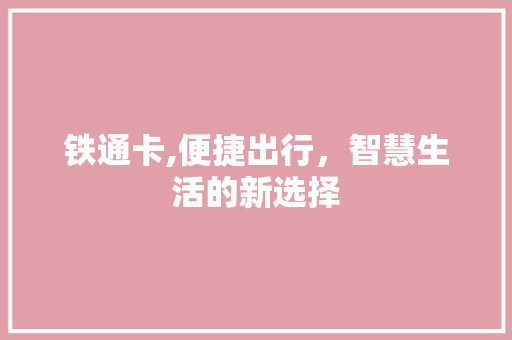 铁通卡,便捷出行，智慧生活的新选择