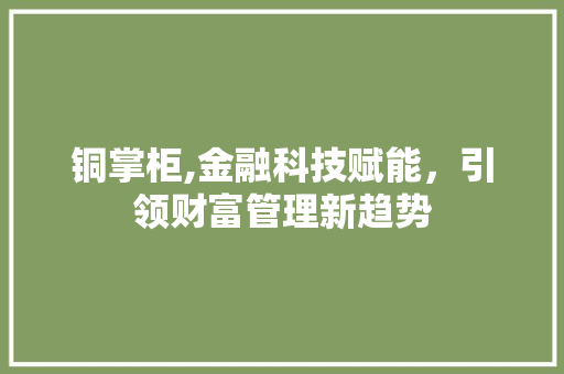 铜掌柜,金融科技赋能，引领财富管理新趋势 建站教程