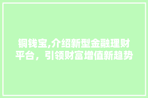 铜钱宝,介绍新型金融理财平台，引领财富增值新趋势
