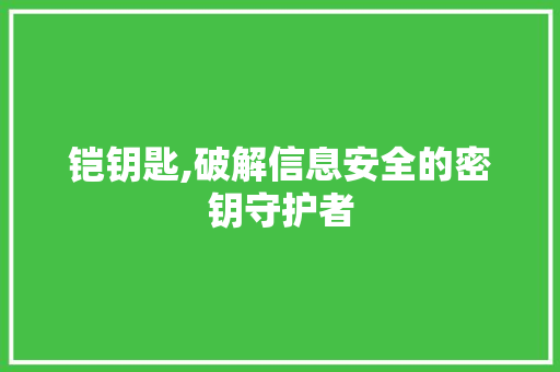 铠钥匙,破解信息安全的密钥守护者