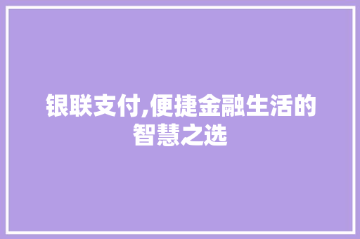 银联支付,便捷金融生活的智慧之选