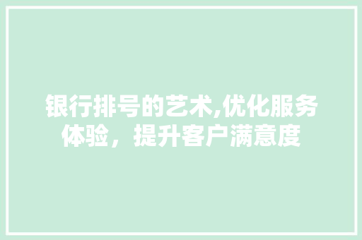 银行排号的艺术,优化服务体验，提升客户满意度