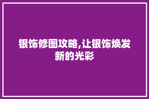 银饰修图攻略,让银饰焕发新的光彩 服务器/数据库