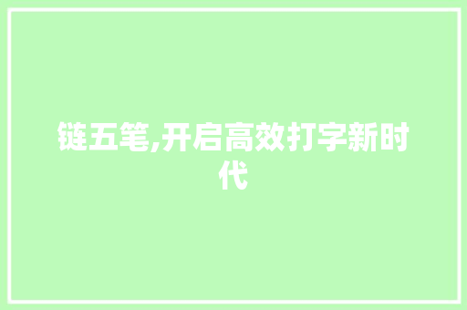 链五笔,开启高效打字新时代 服务器/数据库