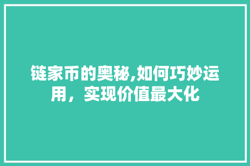 链家币的奥秘,如何巧妙运用，实现价值最大化 SEO教程