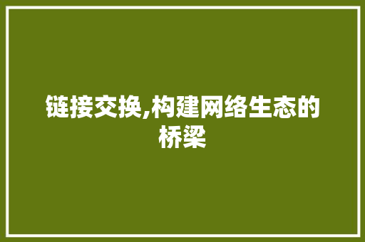 链接交换,构建网络生态的桥梁