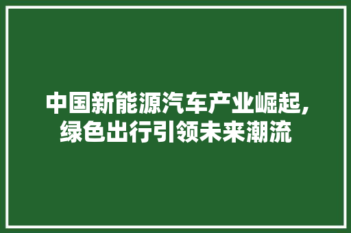 中国新能源汽车产业崛起,绿色出行引领未来潮流