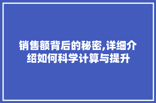 销售额背后的秘密,详细介绍如何科学计算与提升