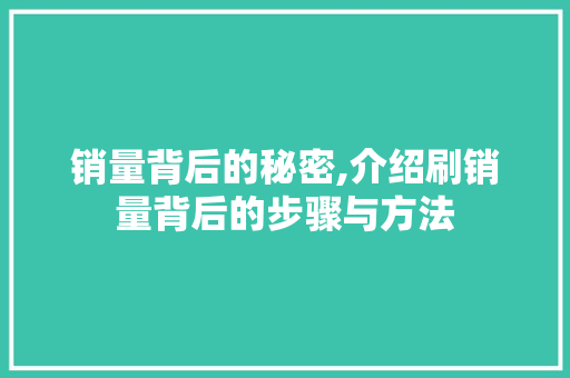 销量背后的秘密,介绍刷销量背后的步骤与方法