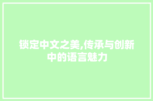 锁定中文之美,传承与创新中的语言魅力