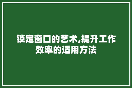 锁定窗口的艺术,提升工作效率的适用方法