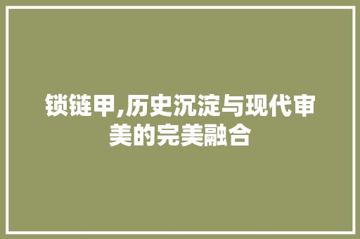 锁链甲,历史沉淀与现代审美的完美融合 友链在线