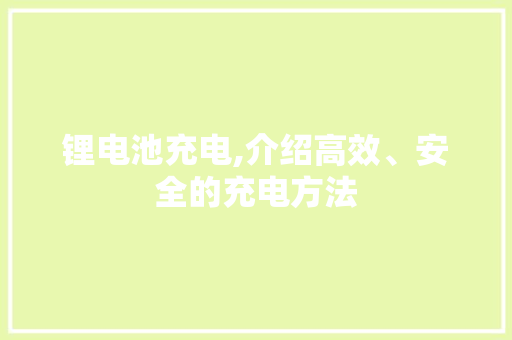 锂电池充电,介绍高效、安全的充电方法