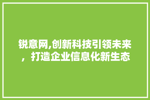 锐意网,创新科技引领未来，打造企业信息化新生态
