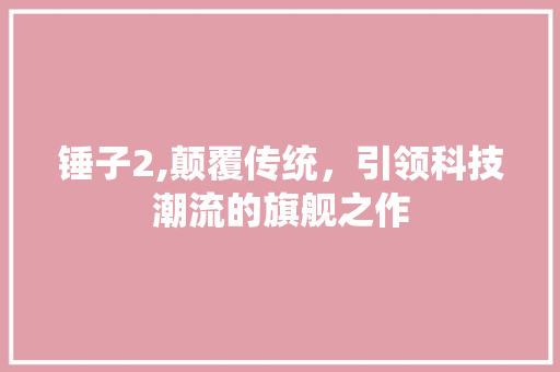 锤子2,颠覆传统，引领科技潮流的旗舰之作 SEO教程