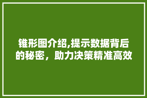 锥形图介绍,提示数据背后的秘密，助力决策精准高效